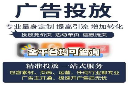 案例研究：百度竞价广告投放效果